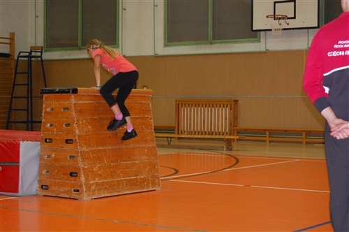 Obrázek v galerii
